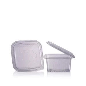 Salad Container 500ml (Medium) 1x600